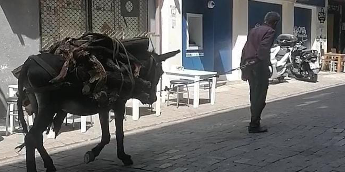 Eşeğe mi eziyet, kendine mi?