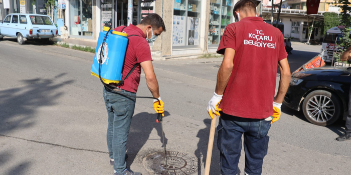 Koçarlı Belediyesi, Haşereyle Mücadelede Tam Gaz İlerliyor